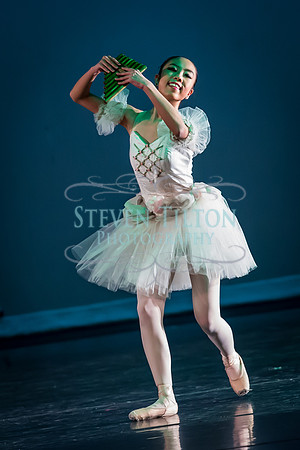 DDI - A Winter Gala