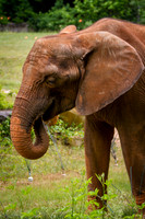 Asheboro Zoo