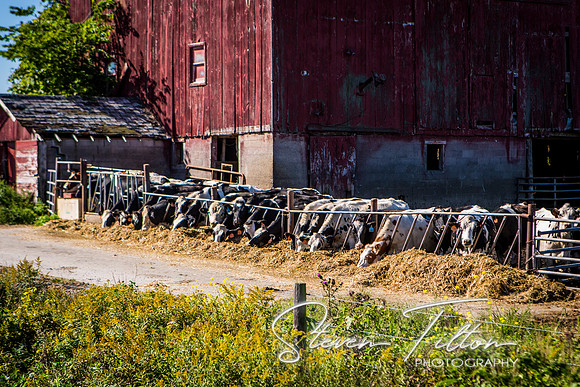 Michigan Landscape