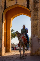 Camel riding into Jaigarh Fort