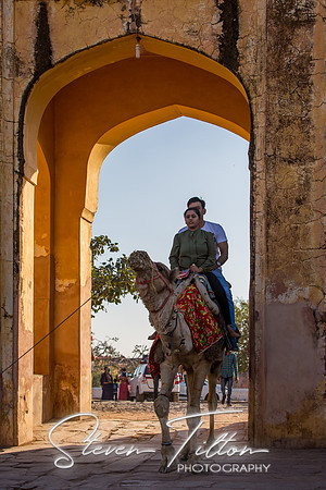 Camel riding into Jaigarh Fort