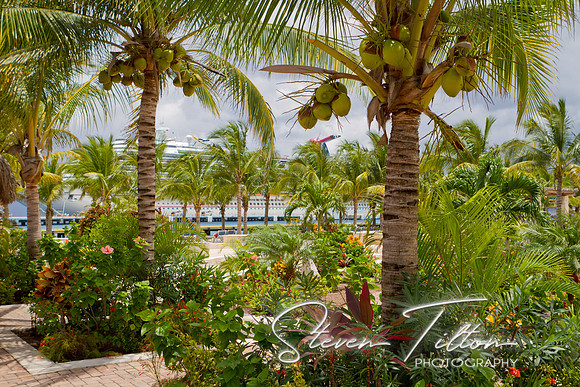 Cozumel Mexico