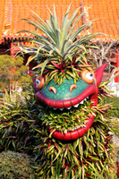 Vegetarian Dragon