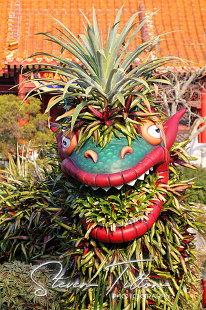 Vegetarian Dragon