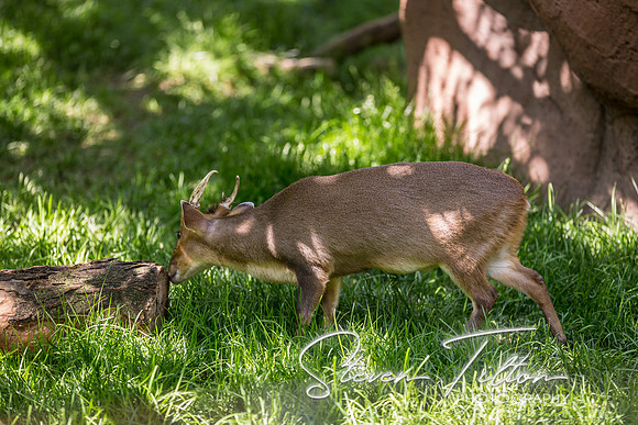 Indianapolis Zoo
