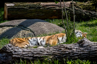 Indianapolis Zoo