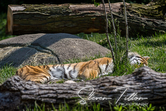 Indianapolis Zoo