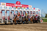 Indiana Down Horse Racing