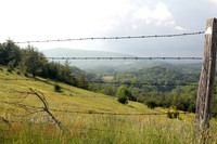 Barbed Wire Fence