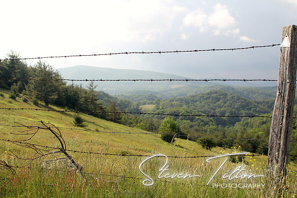 Barbed Wire Fence