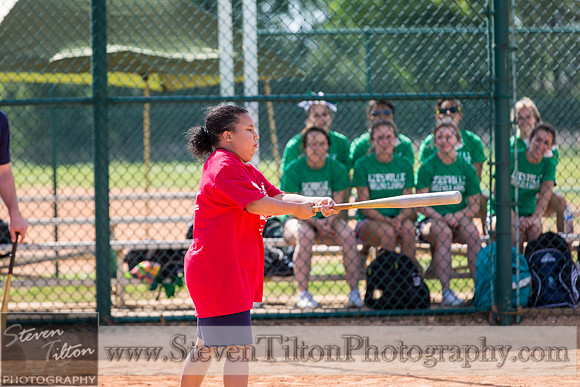 7th Annual Field of Dreams