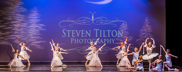 Destiny Winter Gala 2013