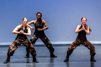 Destiny Dance - A Summer Gala