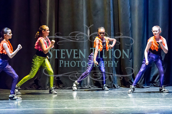 Destiny Dance - A Summer Gala