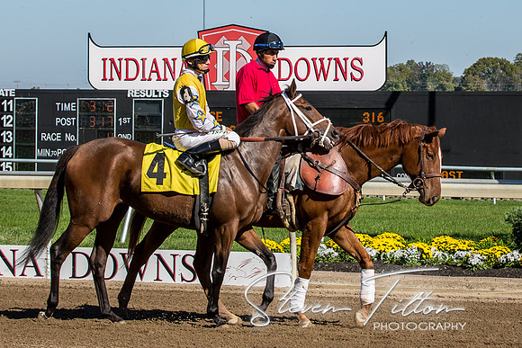 Indiana Down Horse Racing