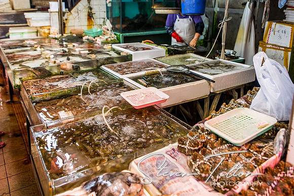 Hong Kong Travels