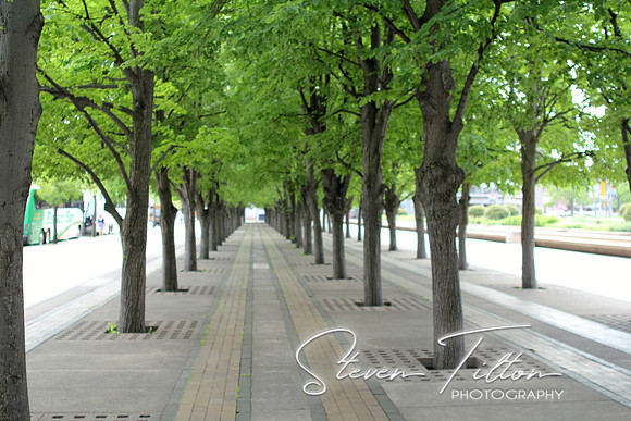 City Walkway