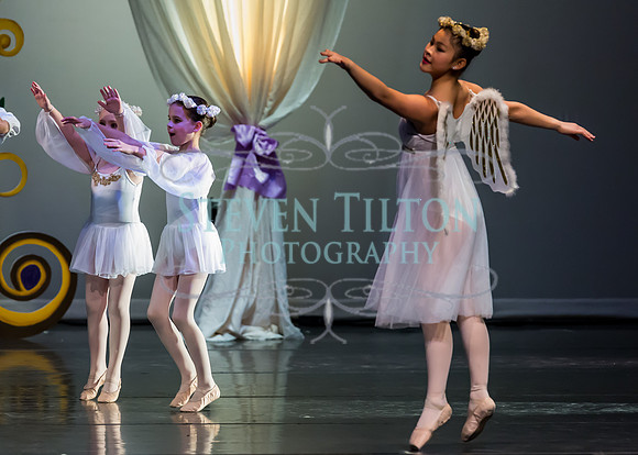 DDI Winter Gala III