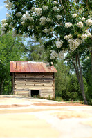 Chicken Coop