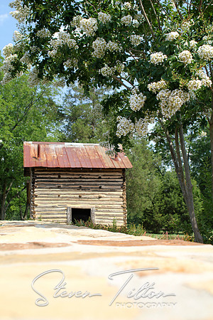 Chicken Coop