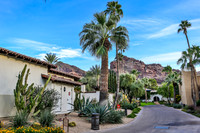 Paradise City, Arizona