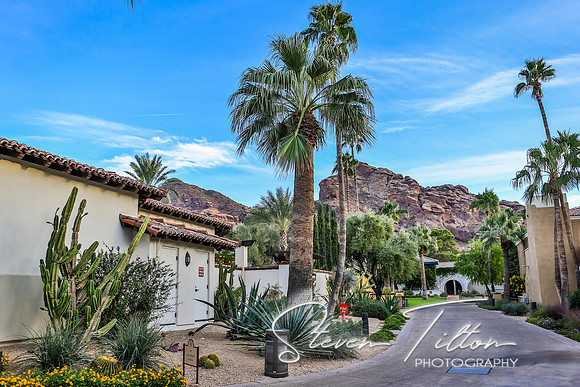 Paradise City, Arizona