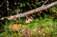 Banner Elk, NC Visit