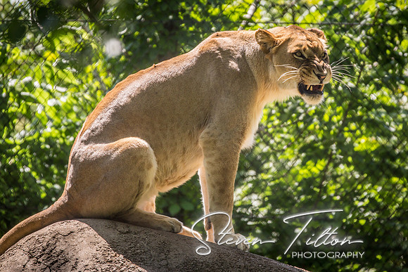 Indianapolis Zoo