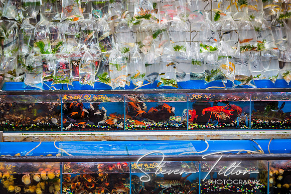 Hong Kong Travels