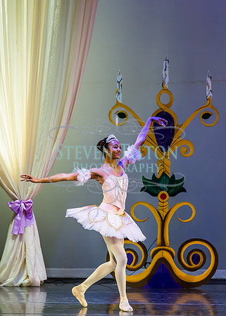 DDI - A Winter Gala