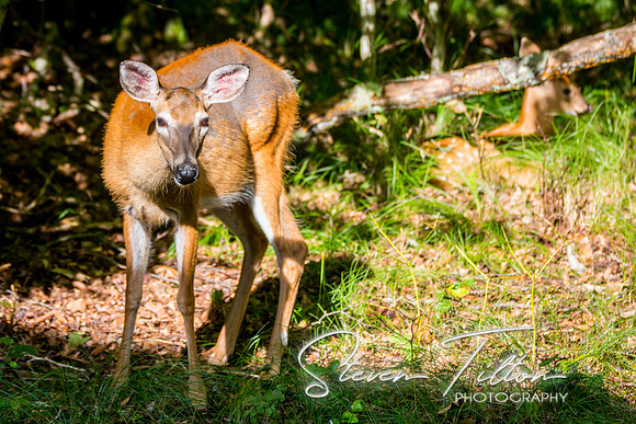 Banner Elk, NC Visit