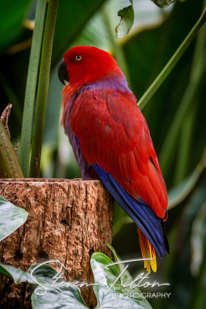 Asheboro Zoo