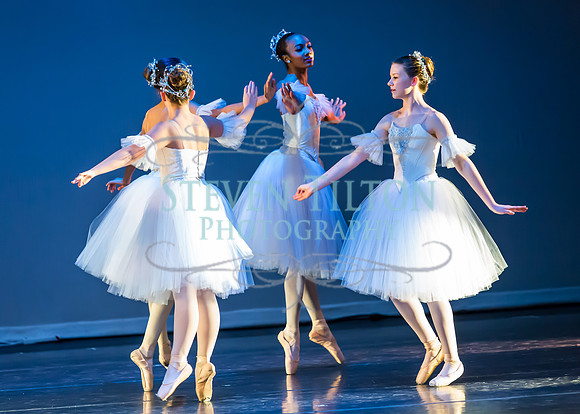 DDI - A Winter Gala