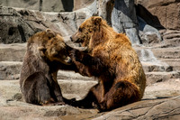 Indianapolis Zoo