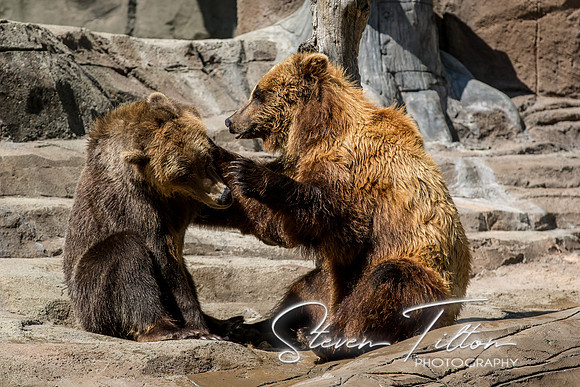 Indianapolis Zoo