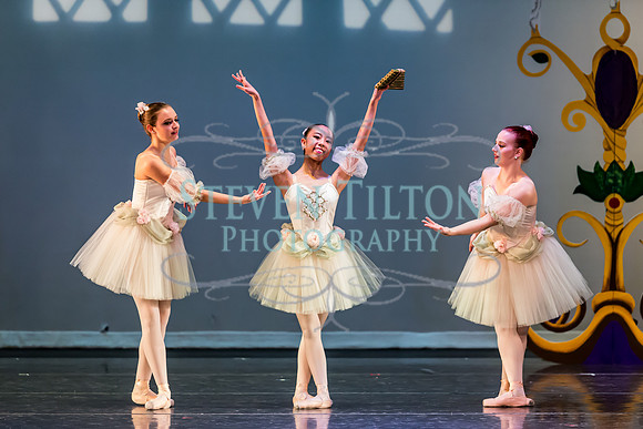 DDI - A Winter Gala
