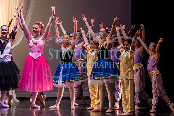 DDI Winter Gala III