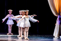 DDI - A Winter Gala
