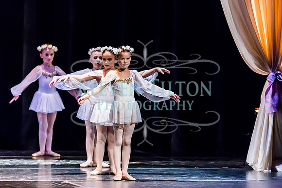 DDI - A Winter Gala