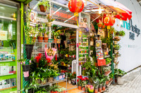 Hong Kong Travels