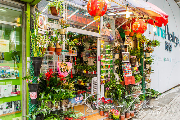 Hong Kong Travels