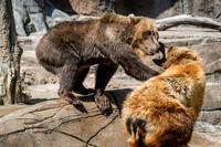 Indianapolis Zoo