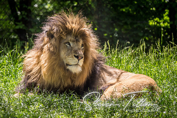 Indianapolis Zoo