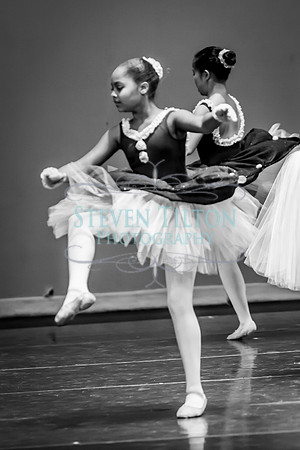 DDI - A Winter Gala