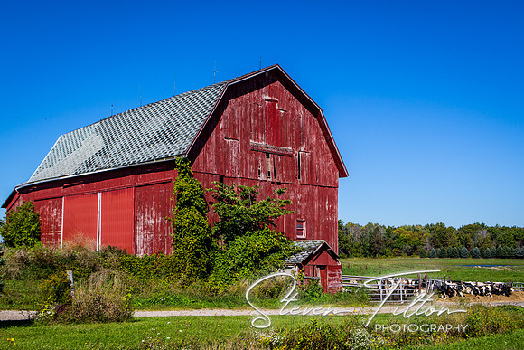Michigan Landscape