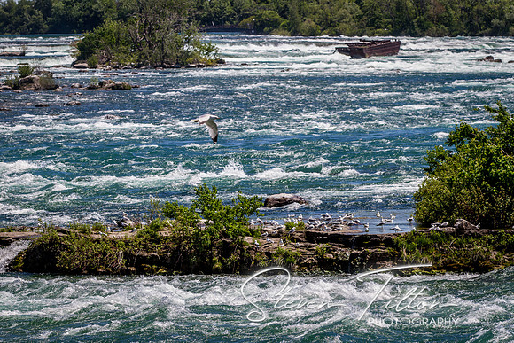 Niagara Falls Canada