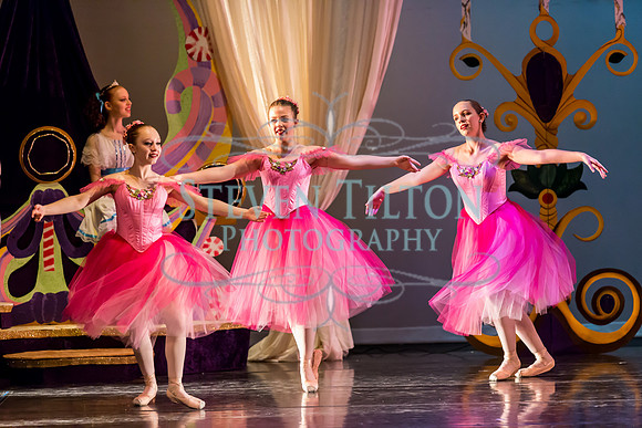 DDI - A Winter Gala