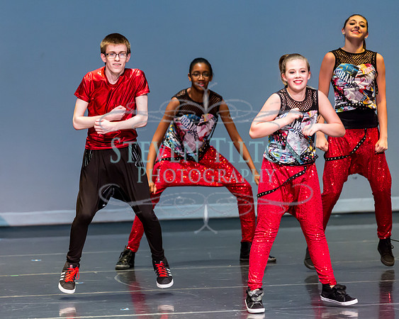 Destiny Dance - A Summer Gala