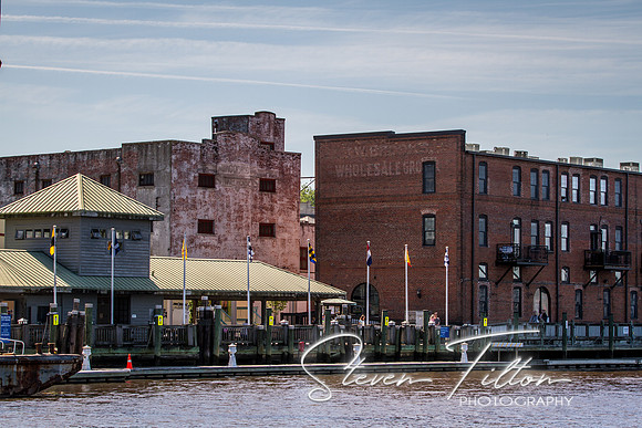 Wilmington River Cruise