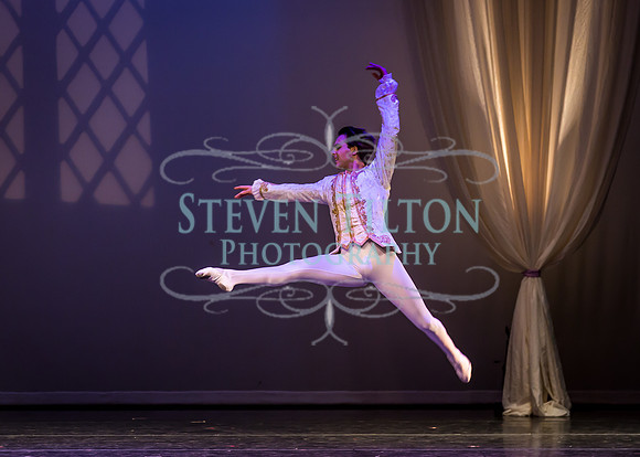 Destiny Winter Gala 2013